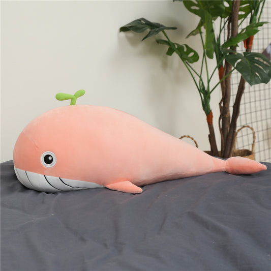 Willi The Whale Plush Toy